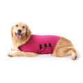 21/4/20 Personalized Pet Mood Calming Clothes Comfortable Clothes For Dogs Customized Text/Picture 342