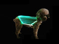 21/5/12 Personalized Pet Luminous Clothing LED Charging Colorful Luminous Clothes 392（标品）